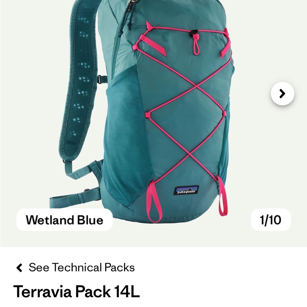 NWT Patagonia Terravia Pack in Blue and Pink
